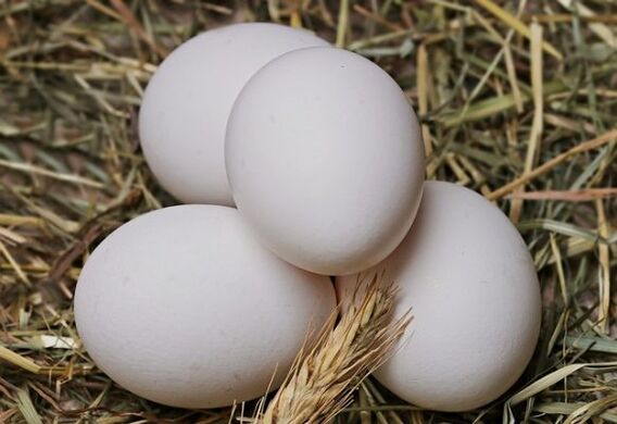 Het eierdieet bestaat uit het dagelijks eten van kippeneieren. 