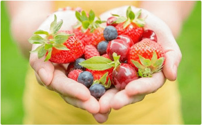 fruit